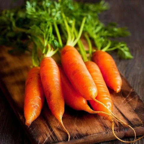 All Season Carrot Seeds – 30 pcs. Easy-to-grow, disease-resistant carrots perfect for year-round home gardening. Crunchy, flavorful, and high-yielding