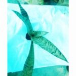 Air purifying Snake Plant for home and office